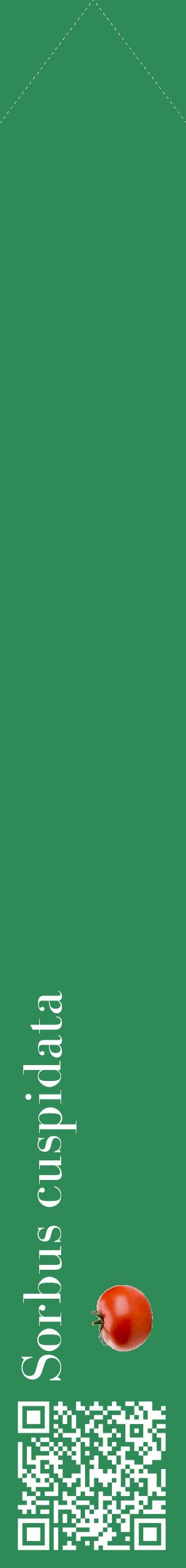 Étiquette de : Sorbus cuspidata - format c - style blanche11_simplebod avec qrcode et comestibilité simplifiée