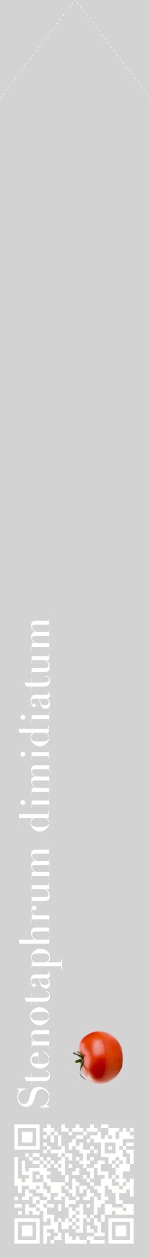 Étiquette de : Stenotaphrum dimidiatum - format c - style blanche56_simplebod avec qrcode et comestibilité simplifiée