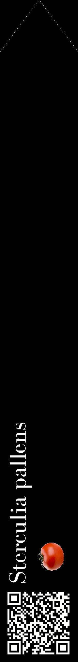 Étiquette de : Sterculia pallens - format c - style blanche59_simplebod avec qrcode et comestibilité simplifiée