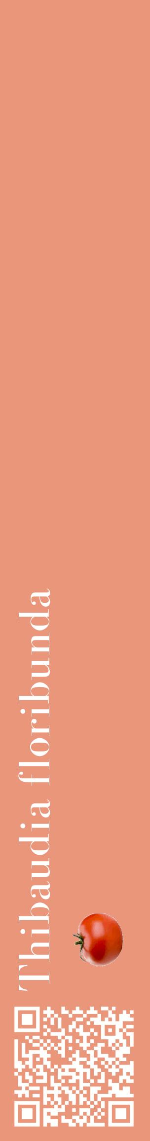 Étiquette de : Thibaudia floribunda - format c - style blanche37_basiquebod avec qrcode et comestibilité simplifiée