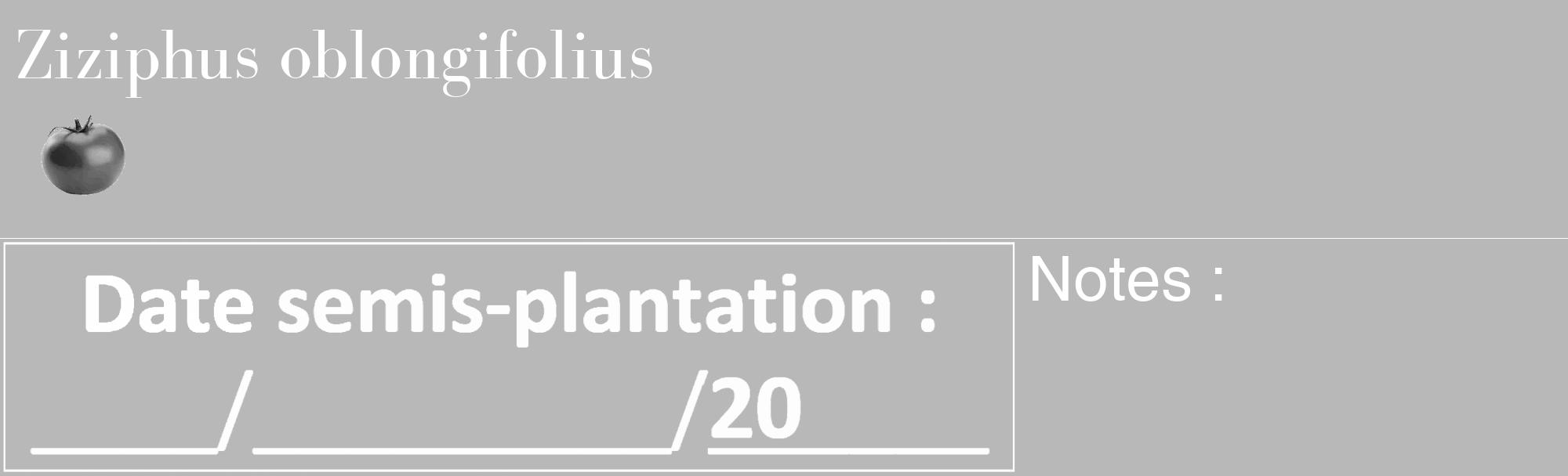 Étiquette de : Ziziphus oblongifolius - format c - style blanche39_basique_basiquebod avec comestibilité simplifiée