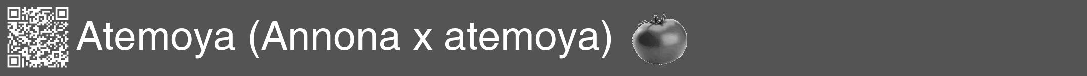 Étiquette de : Annona x atemoya - format a - style blanche36hel avec qrcode et comestibilité simplifiée