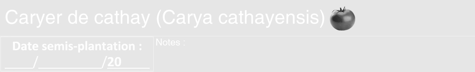Étiquette de : Carya cathayensis - format a - style blanche18hel avec comestibilité simplifiée