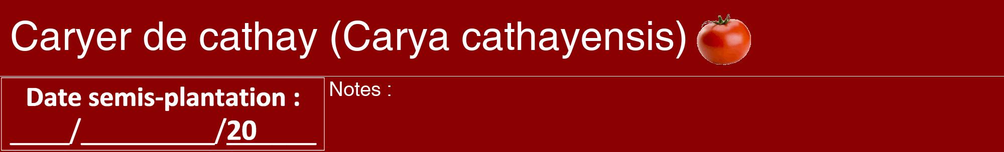 Étiquette de : Carya cathayensis - format a - style blanche34hel avec comestibilité simplifiée