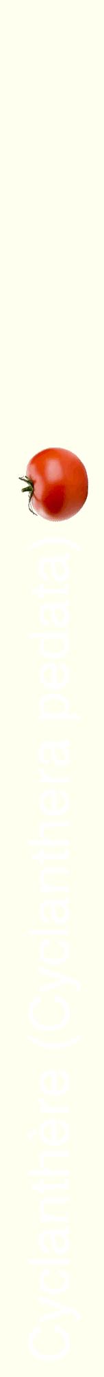 Étiquette de : Cyclanthera pedata - format a - style blanche19hel avec comestibilité simplifiée