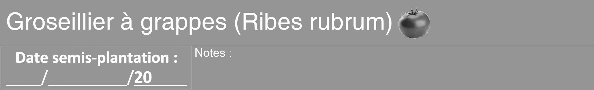 Étiquette de : Ribes rubrum - format a - style blanche16hel avec comestibilité simplifiée