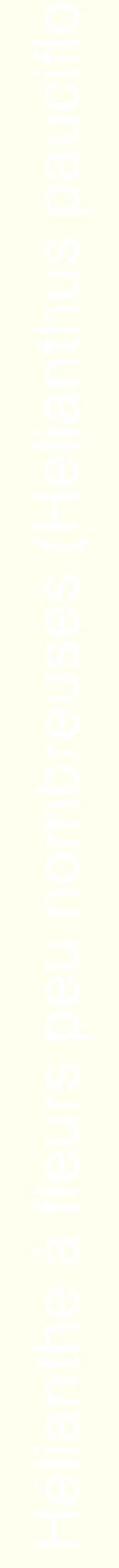 Étiquette de : Helianthus pauciflorus - format a - style blanche19hel avec comestibilité simplifiée