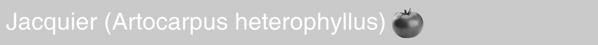 Étiquette de : Artocarpus heterophyllus - format a - style blanche21hel avec comestibilité simplifiée
