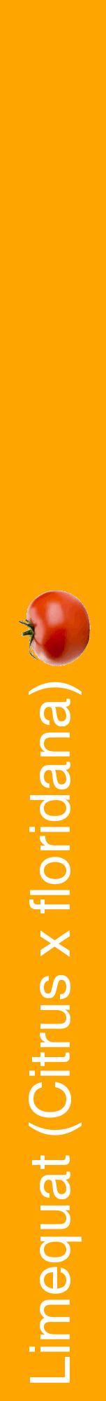 Étiquette de : Citrus x floridana - format a - style blanche22hel avec comestibilité simplifiée