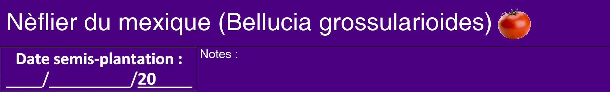 Étiquette de : Bellucia grossularioides - format a - style blanche47hel avec comestibilité simplifiée