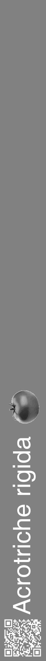 Étiquette de : Acrotriche rigida - format a - style blanche50hel avec qrcode et comestibilité simplifiée - position verticale