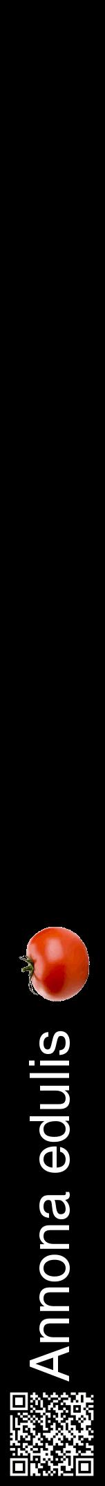 Étiquette de : Annona edulis - format a - style blanche59hel avec qrcode et comestibilité simplifiée