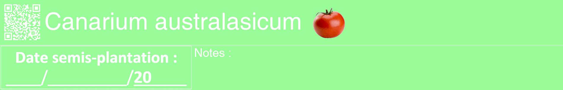 Étiquette de : Canarium australasicum - format a - style blanche14basiquehel avec qrcode et comestibilité simplifiée