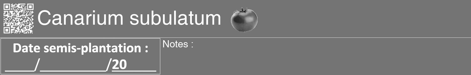Étiquette de : Canarium subulatum - format a - style blanche26basiquehel avec qrcode et comestibilité simplifiée