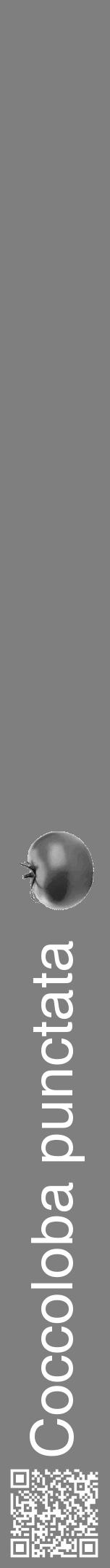 Étiquette de : Coccoloba punctata - format a - style blanche31hel avec qrcode et comestibilité simplifiée - position verticale