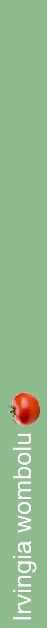 Étiquette de : Irvingia wombolu - format a - style blanche13hel avec comestibilité simplifiée