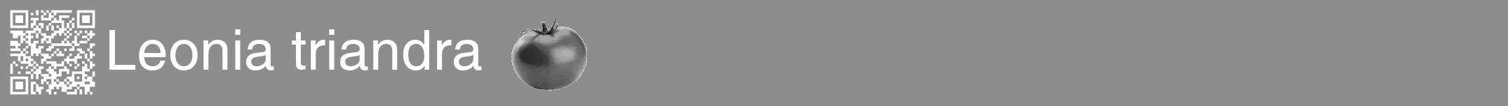 Étiquette de : Leonia triandra - format a - style blanche2hel avec qrcode et comestibilité simplifiée