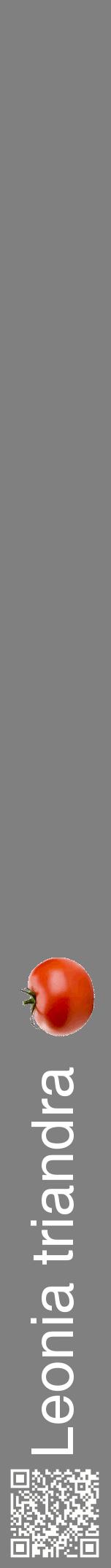 Étiquette de : Leonia triandra - format a - style blanche57hel avec qrcode et comestibilité simplifiée