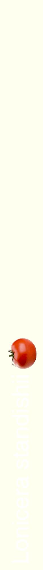 Étiquette de : Lonicera standishii - format a - style blanche19hel avec comestibilité simplifiée