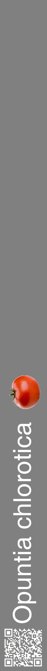 Étiquette de : Opuntia chlorotica - format a - style blanche57hel avec qrcode et comestibilité simplifiée