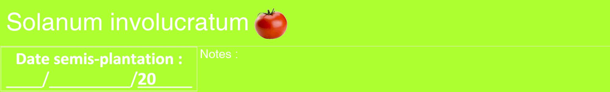 Étiquette de : Solanum involucratum - format a - style blanche17hel avec comestibilité simplifiée