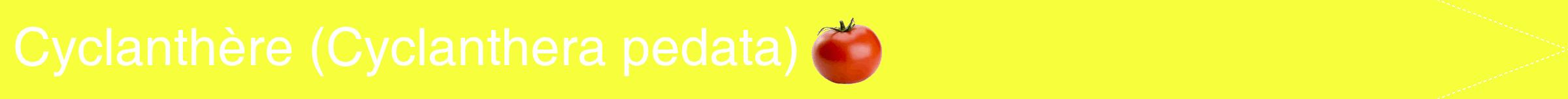 Étiquette de : Cyclanthera pedata - format b - style blanche18simplehel avec comestibilité simplifiée