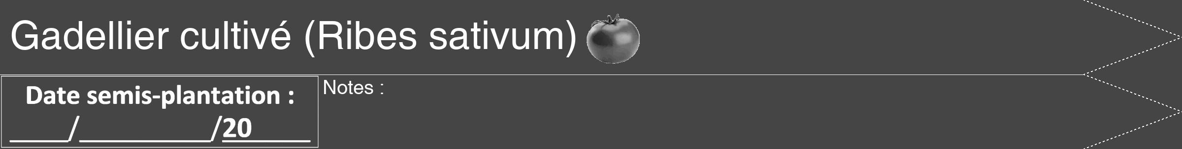 Étiquette de : Ribes sativum - format b - style blanche58hel avec comestibilité simplifiée