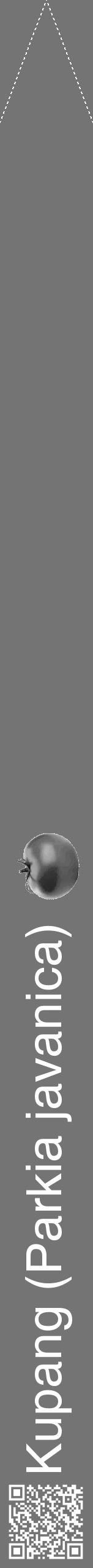 Étiquette de : Parkia javanica - format b - style blanche26hel avec qrcode et comestibilité simplifiée - position verticale