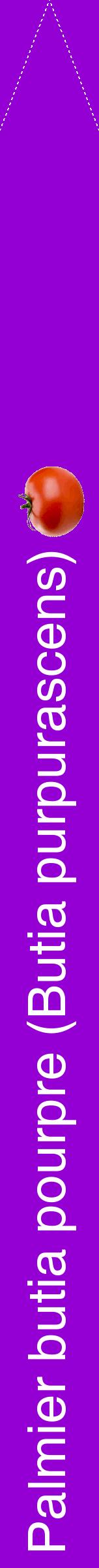 Étiquette de : Butia purpurascens - format b - style blanche48hel avec comestibilité simplifiée