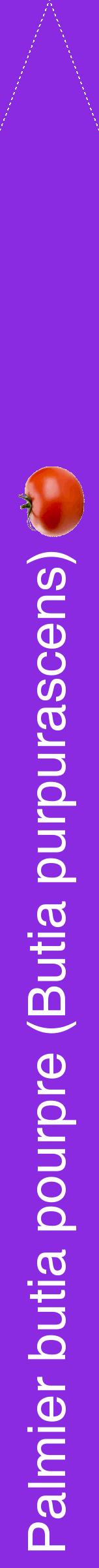 Étiquette de : Butia purpurascens - format b - style blanche49hel avec comestibilité simplifiée