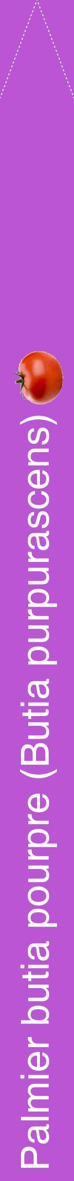 Étiquette de : Butia purpurascens - format b - style blanche50hel avec comestibilité simplifiée