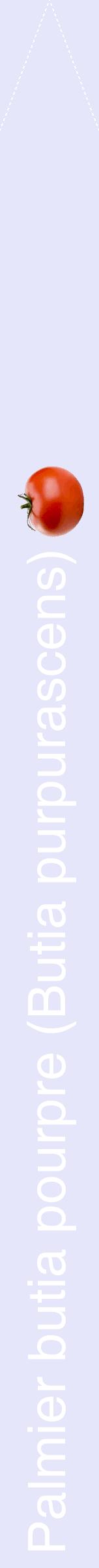Étiquette de : Butia purpurascens - format b - style blanche55hel avec comestibilité simplifiée