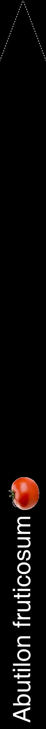 Étiquette de : Abutilon fruticosum - format b - style blanche59hel avec comestibilité simplifiée
