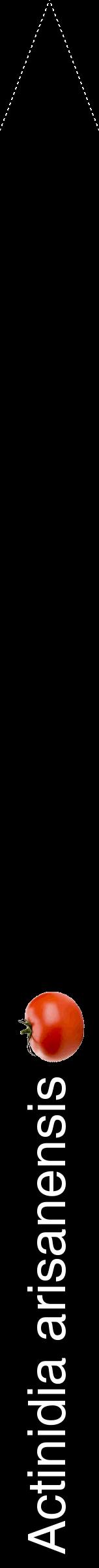 Étiquette de : Actinidia arisanensis - format b - style blanche59hel avec comestibilité simplifiée