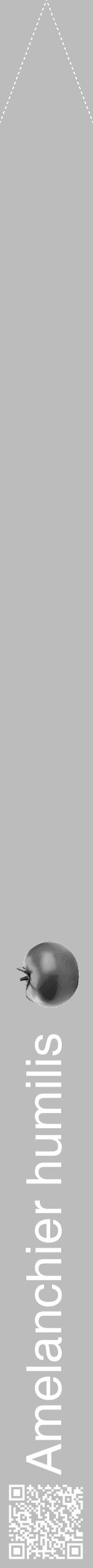 Étiquette de : Amelanchier humilis - format b - style blanche1simplehel avec qrcode et comestibilité simplifiée - position verticale