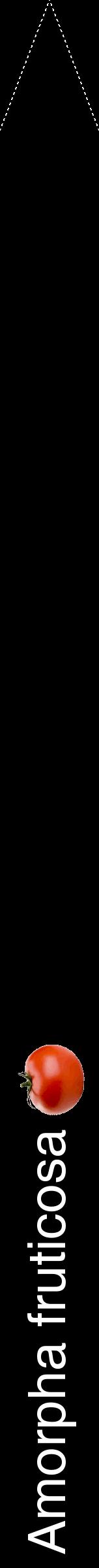 Étiquette de : Amorpha fruticosa - format b - style blanche59hel avec comestibilité simplifiée