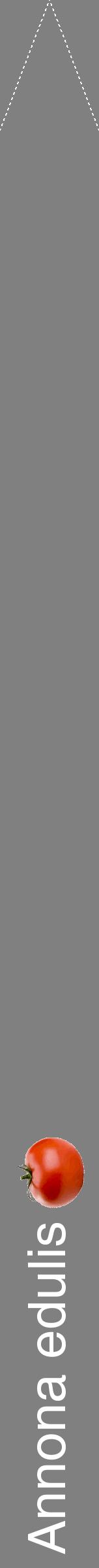 Étiquette de : Annona edulis - format b - style blanche57hel avec comestibilité simplifiée