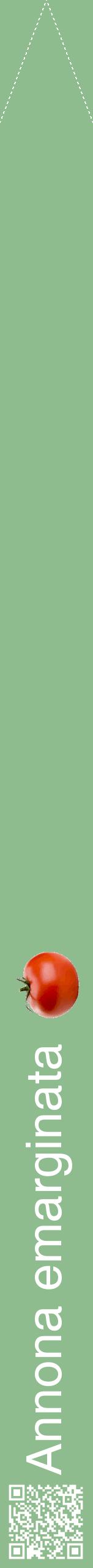 Étiquette de : Annona emarginata - format b - style blanche13hel avec qrcode et comestibilité simplifiée