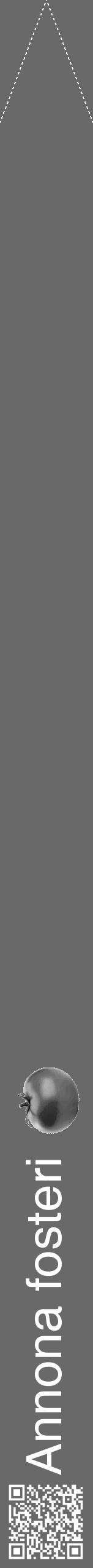 Étiquette de : Annona fosteri - format b - style blanche51hel avec qrcode et comestibilité simplifiée - position verticale