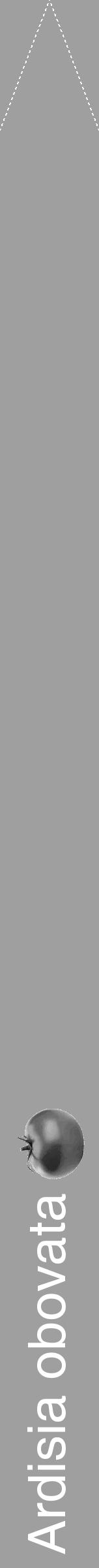 Étiquette de : Ardisia obovata - format b - style blanche24hel avec comestibilité simplifiée - position verticale