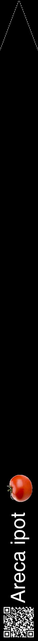 Étiquette de : Areca ipot - format b - style blanche59hel avec qrcode et comestibilité simplifiée
