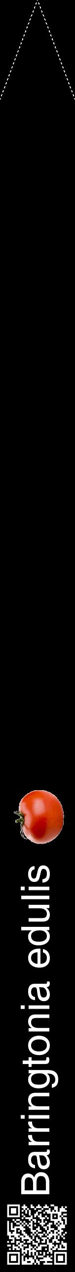 Étiquette de : Barringtonia edulis - format b - style blanche59hel avec qrcode et comestibilité simplifiée