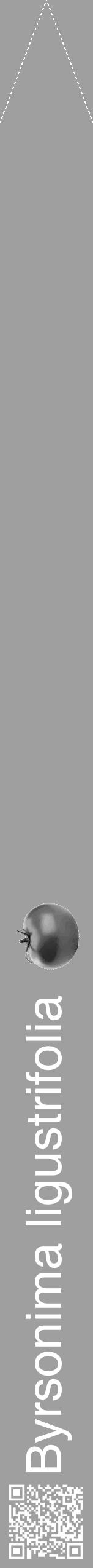 Étiquette de : Byrsonima ligustrifolia - format b - style blanche24hel avec qrcode et comestibilité simplifiée - position verticale
