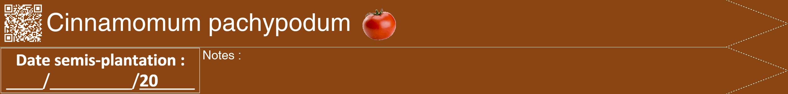 Étiquette de : Cinnamomum pachypodum - format b - style blanche30hel avec qrcode et comestibilité simplifiée