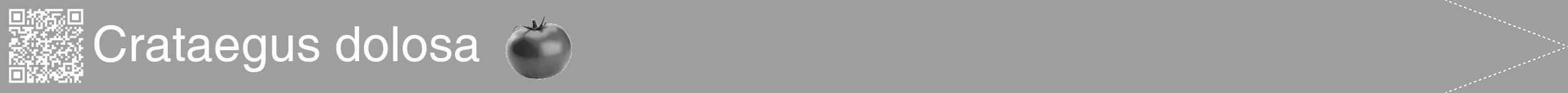 Étiquette de : Crataegus dolosa - format b - style blanche42hel avec qrcode et comestibilité simplifiée