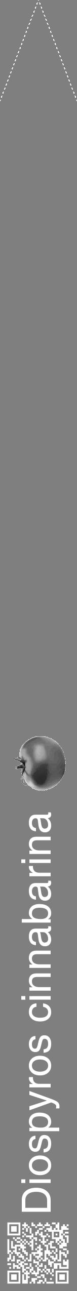 Étiquette de : Diospyros cinnabarina - format b - style blanche57hel avec qrcode et comestibilité simplifiée - position verticale