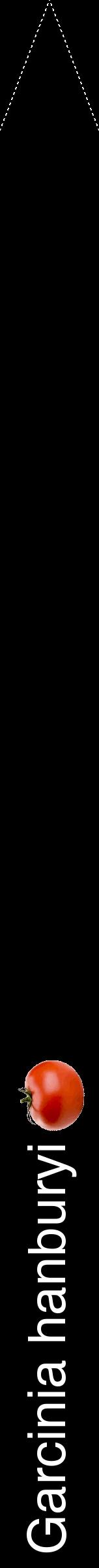 Étiquette de : Garcinia hanburyi - format b - style blanche59hel avec comestibilité simplifiée
