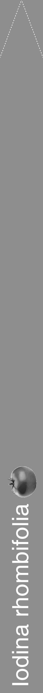 Étiquette de : Iodina rhombifolia - format b - style blanche25hel avec comestibilité simplifiée - position verticale