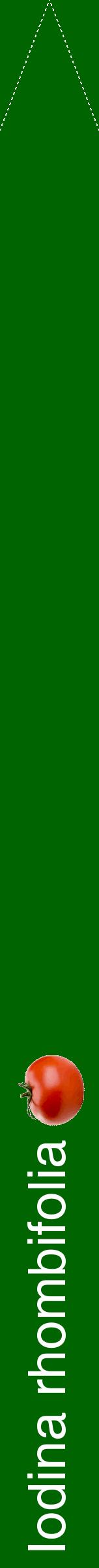 Étiquette de : Iodina rhombifolia - format b - style blanche8hel avec comestibilité simplifiée