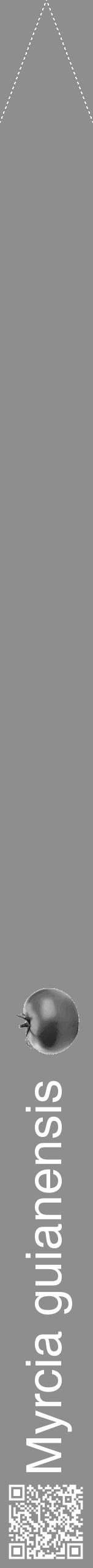 Étiquette de : Myrcia guianensis - format b - style blanche25simplehel avec qrcode et comestibilité simplifiée - position verticale